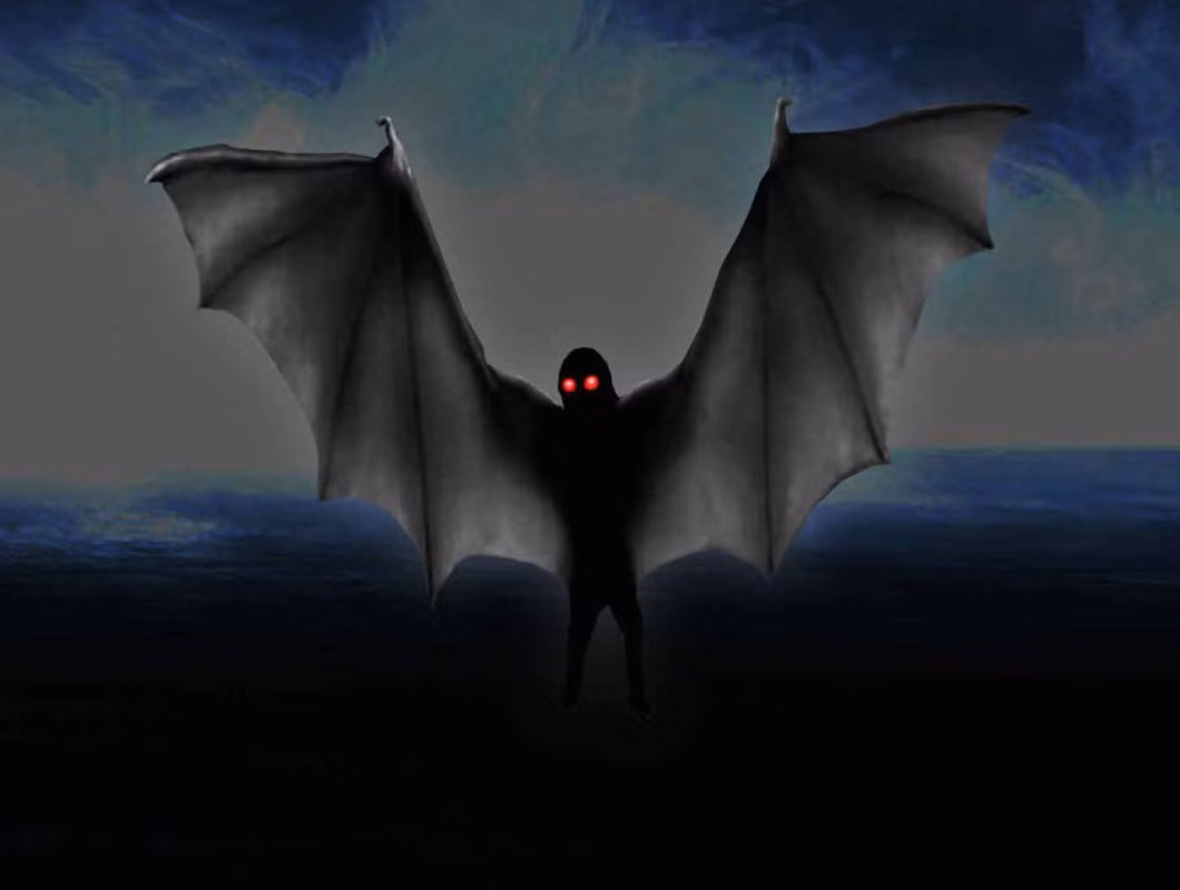 Sau đó, một số người dân địa phương kể rằng đã nhìn thấy Mothman. Họ đã trình báo sự việc này với cảnh sát. Họ mô tả sinh vật nửa người nửa thú có ngoại hình kỳ dị.