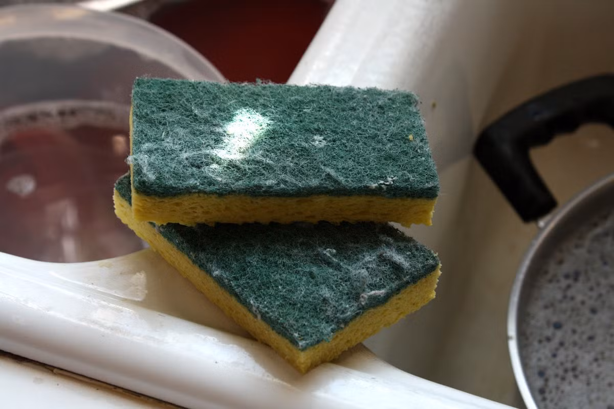 Theo Tổ chức Vệ sinh Quốc gia Hoa Kỳ (NSF) các khu vực lưu trữ hoặc chế biến thực phẩm có nhiều vi khuẩn và nhiễm bẩn hơn bất kỳ nơi nào khác trong nhà. Hơn 75% miếng bọt biển và giẻ rửa bát có chứa Salmonella, E. coli, và vi khuẩn phân.