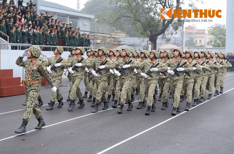 Trải qua gần 50 năm xây dựng, chiến đấu và phát triển, bằng trí thông minh, lòng dũng cảm, đoàn kết, sáng tạo, không quản ngại khó khăn, gian khổ, hy sinh, với sự nỗ lực phấn đấu liên tục, Binh chủng Đặc công đã không ngừng trưởng thành, lớn mạnh, hoàn thành xuất sắc nhiệm vụ trong chiến tranh giải phóng dân tộc, chiến tranh bảo vệ biên giới Tổ quốc, làm tròn nhiệm vụ quốc tế và có nhiều đóng góp quan trọng trong sự nghiệp xây dựng và bảo vệ Tổ quốc.