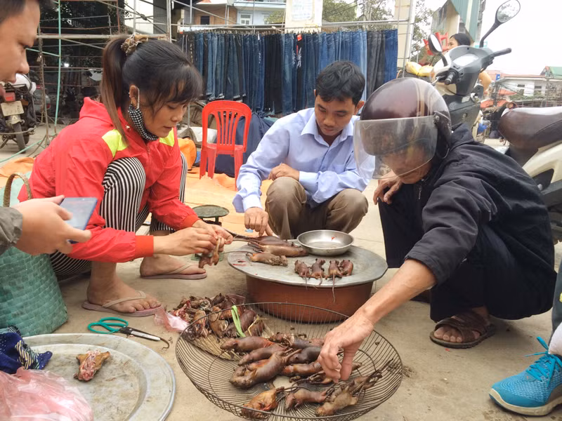 Noi nguoi dan 