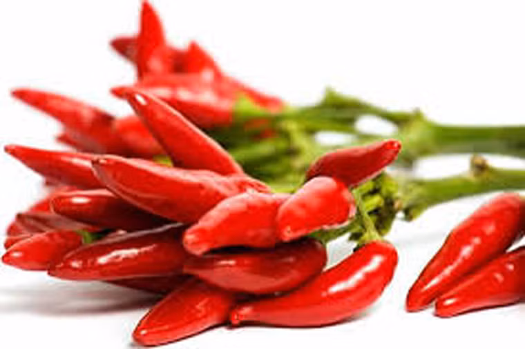 Ớt. Ớt chứa nhiều capsaicin, một hợp chất có tác dụng giảm đau, trị viêm, góp phần giúp cơ thể tiêu hóa thức ăn dễ dàng, ngăn ngừa sự hình thành khối u trong ruột. Nghiên cứu cũng khẳng định, ớt chứa nhiều vitamin A, C mang lại khả năng tăng cường hệ miễn dịch, ức chế sự phát triển của tế bào ung thư tiền liệt tuyến.