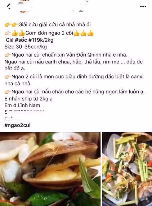 An pizza 6 thang khong hong, uong nuoc ngot het date ca nam-Hinh-5