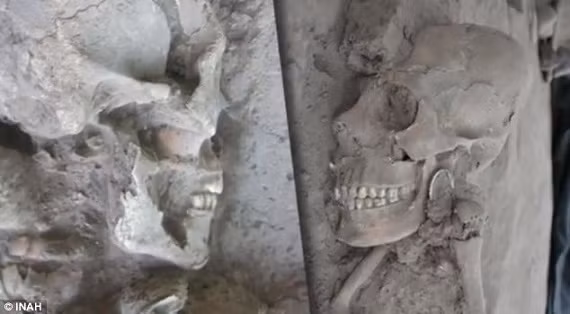 Cụ thể, các chuyên gia phát hiện nhiều hộp sọ của người Maya có hộp sọ bị kéo dài khác thường.