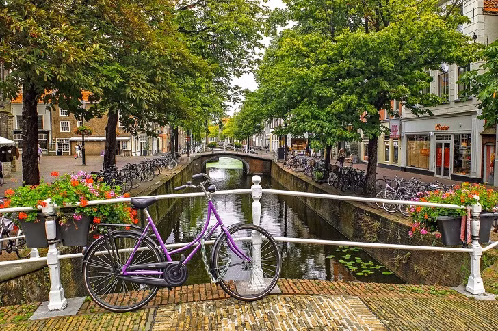 Lý do khiến Hà Lan quyết định đổi tên là vì "Holland" là tên gọi phổ biến của Hà Lan ở các nước nói tiếng Anh nhưng việc sử dụng từ này để gọi một quốc gia bên bờ Biển Bắc với 17 triệu dân sinh sống có thể bị coi là thiếu sót khi không nhắc đến các khu vực khác của quốc gia này.
