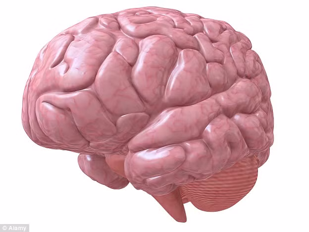 Bạn thân của ông Matthew Ferris cũng làm tăng 500 bảng cho Braintrust trong chương trình Cardiff 10k vào năm 2013.