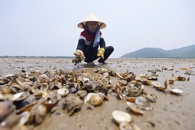 Bo TN-MT yeu cau cac tinh bao cao moi truong bien hang ngay