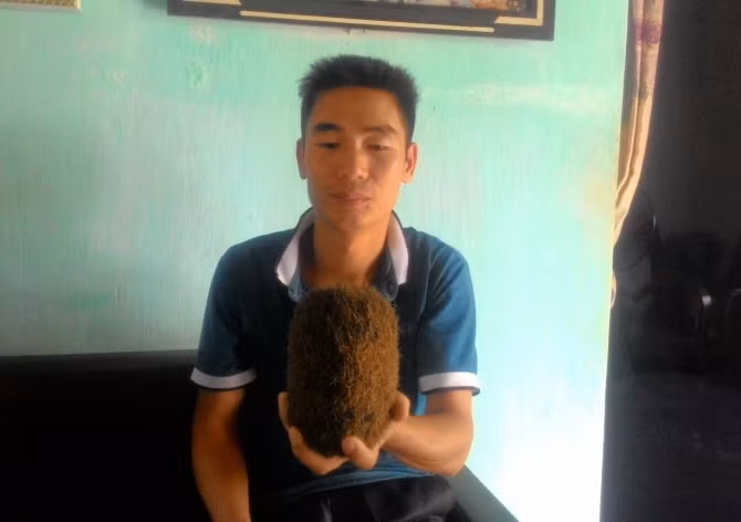 Những lần tìm thấy "cát lợn" giá chục tỷ chữa bách bệnh - Hình 2 Nhung lan tim thay