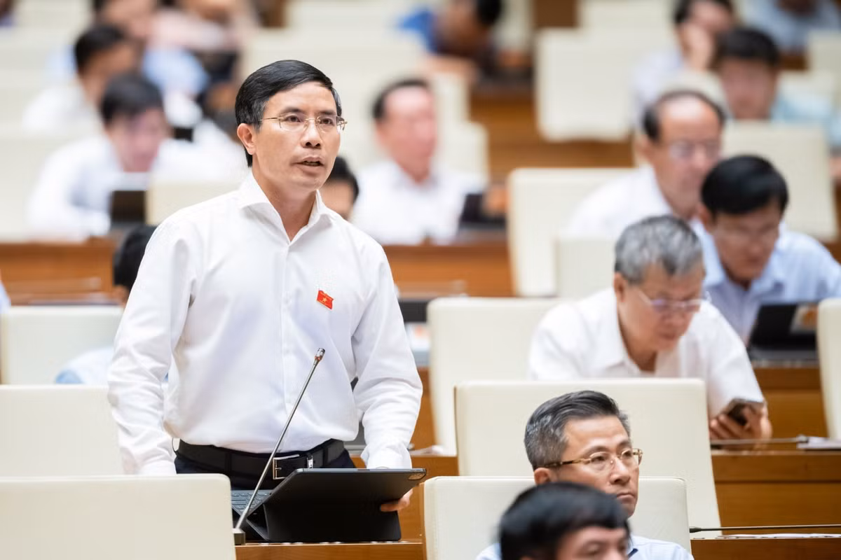 ĐBQH đề nghị xử lý hình sự bỏ cọc đấu giá tài sản - Hình 2 DBQH de nghi xu ly hinh su bo coc dau gia tai san-Hinh-2