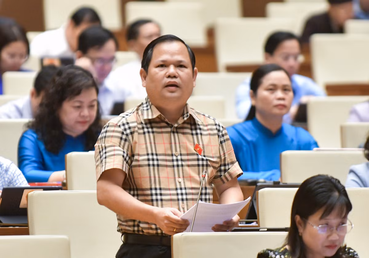 ĐBQH đề nghị xử lý hình sự bỏ cọc đấu giá tài sản DBQH de nghi xu ly hinh su bo coc dau gia tai san