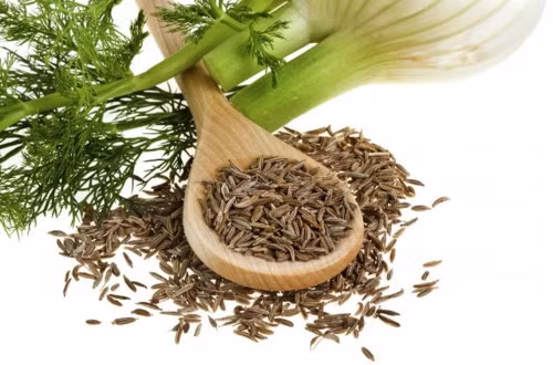  4. Thì là Thì là không chỉ là một gia vị truyền thống trong những món ăn của người dân Việt, mà nó còn là một vị thuốc với nhiều công năng vô cùng hữu ích. Rất nhiều bài thuốc Đông Y đã sử dụng cây thì là như một vị thuốc để chữa những căn bệnh. Trong thì là có chứa hoạt chất Anethole, có tác dụng dịu các cơn co thắt trong dạ dày và bảo vệ đường tiêu hóa khỏi những tác nhân gây hại xâm nhập. Hạt cây thì là giúp giảm các cơn đau liên quan đến bệnh tiêu hóa, cũng như ngăn ngừa triệu chứng trào ngược axit trước khi chúng xảy ra. Thì là một vị thuốc tuyệt vời để khắc phục các triệu chứng đau dạ dày và đầy hơi.