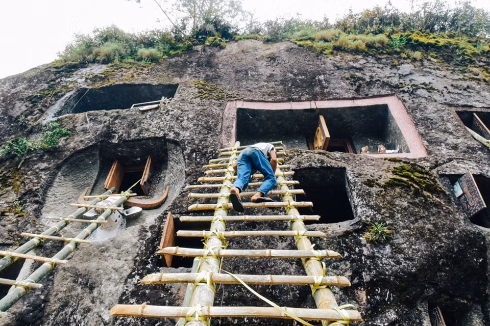 Nghi lễ thay quần áo mới cho người chết diễn ra tại một khu chôn cất trong hang động ở Toraja, thuộc phía Nam đảo Salawesi, Indonesia. Với sự có mặt của đông đảo người thân trong gia đình người đã khuất, dân làng và đặc biệt có rất nhiều du khách ghé lại tham dự, quan sát nghi lễ.