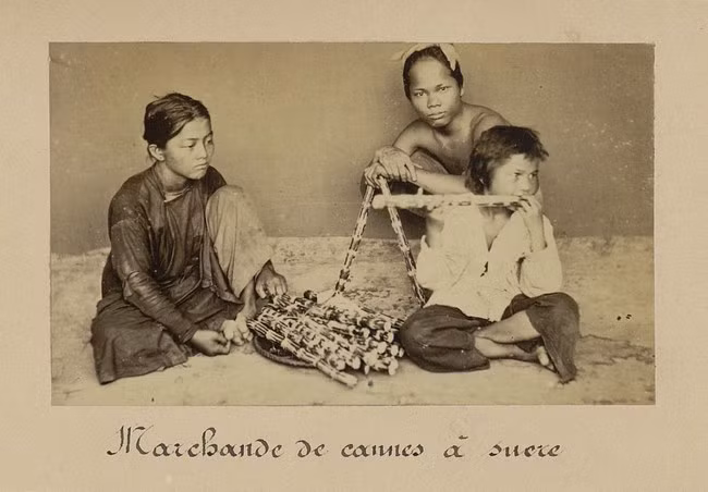 Những đứa trẻ bán mía mưu sinh. Ảnh: Émile Gsell.