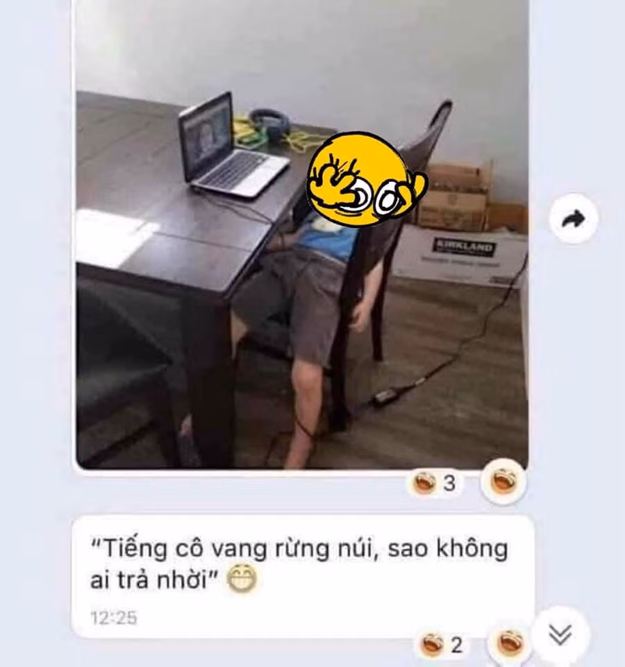 Trên MXH gây chú ý khi chia sẻ loạt tình huống ghi lại các nhóc lớp 1 trong những ngày đầu tiên làm quen với hình thức học online khiến netizen không nhịn nổi cười.