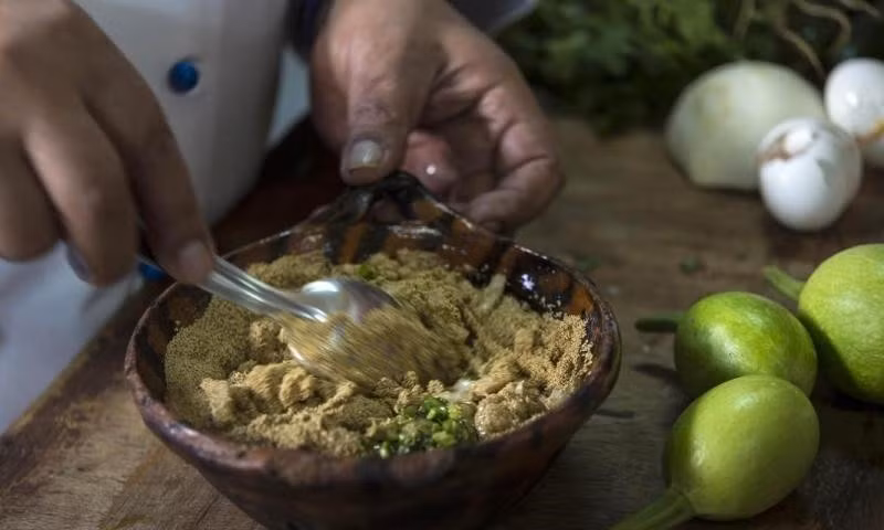 Tuy nhiên, ở Mexico người dân bản địa coi các món ăn từ trứng muỗi, là đặc sản không thể thiếu trong các bữa ăn hằng ngày.