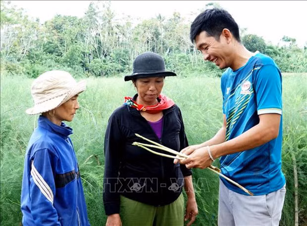 Cat bang kinh doanh quoc te, 9X ve lang trong rau, kiem tien ty