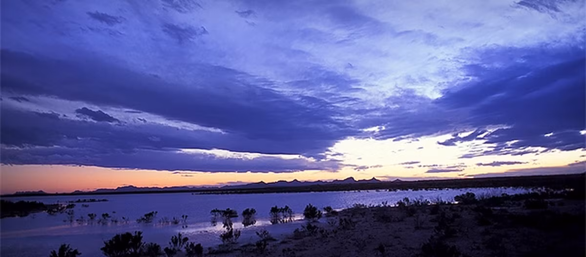 Không những vậy, một số người còn báo cáo nhìn thấy những ánh sáng kỳ lạ, vật thể bí ẩn hay bụi cây bốc cháy... Những sự việc này có thể liên quan đến UFO của người ngoài hành tinh.