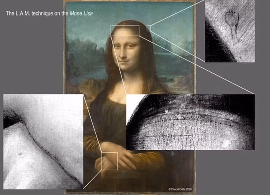 Theo nhà khoa học Cotte, bức phác thảo đó vẽ một phụ nữ nhưng ở tư thế khác với nàng Mona Lisa trong tranh. Thêm nữa, người phụ nữ trong bức phác thảo có cài một chiếc trâm trên tóc.
