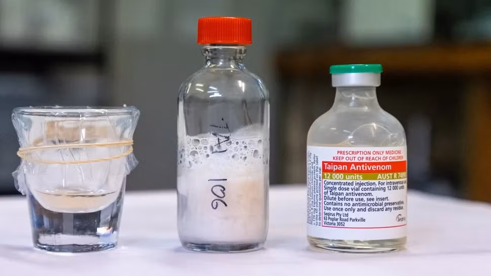 Cụ thể, chỉ với một lần cắn, con rắn thuộc loài rắn taipan duyên hải (Oxyuranus scutellatus) có tên Cyclone đã tiết ra hơn 5,2 gram nọc độc, nhiều gấp 3 lần mức trung bình và đủ để giết chết 400 người. Thông tin này do Công viên Bò sát Australia, vườn thú cách Sydney ở bang New South Wales 50 km về phía bắc, cho hay.