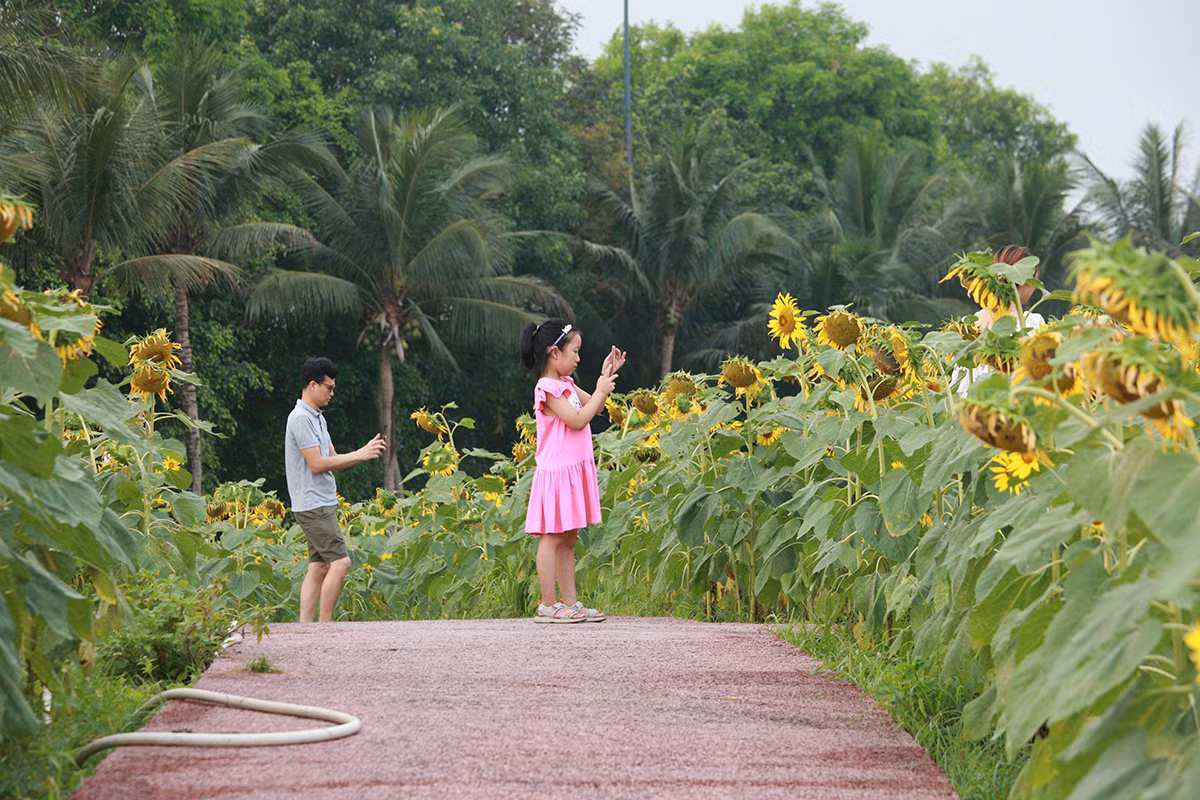Vườn hoa được thiết kế dạng đồi, có dốc thoai thoải khá lạ mắt.