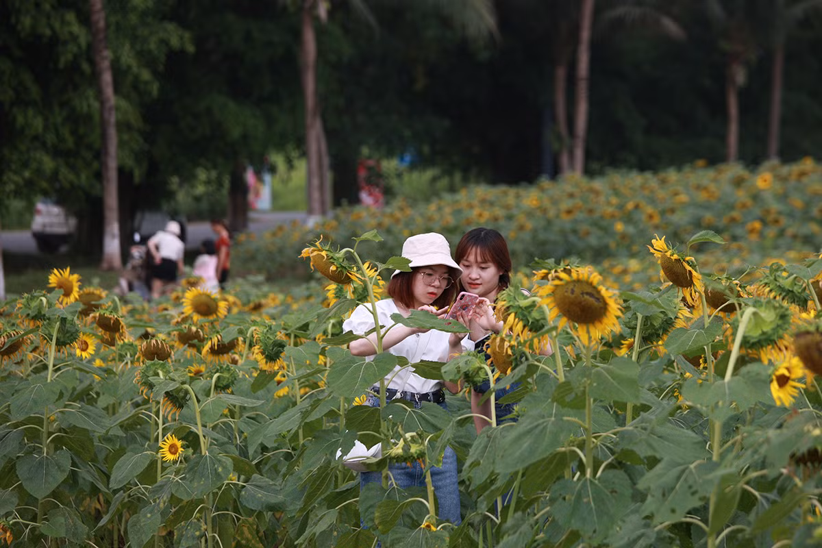 Ngay từ sáng sớm đã có nhiều chị em tới đây chụp ảnh để tránh thời tiết nắng nóng.