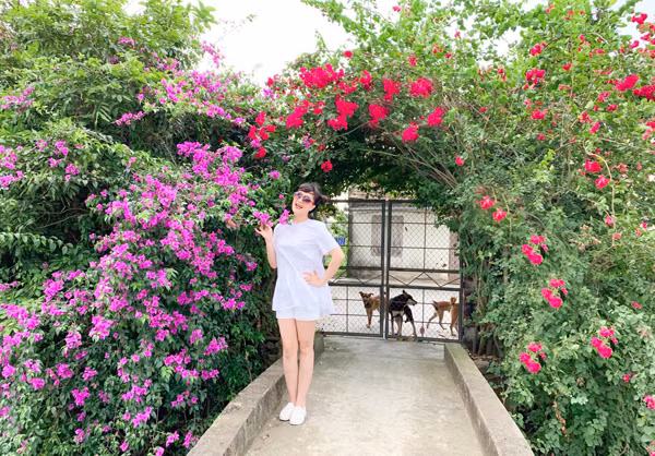 Tao ba duy nhat Van Dung: U50 da dang van 