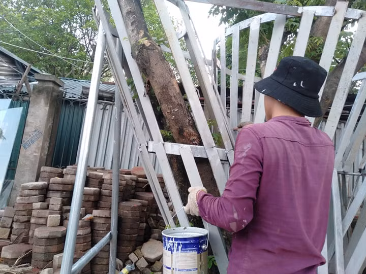 Vài năm trở lại đây, trên địa bàn Hà Nội xảy ra tình trạng cưa trộm gỗ sưa đỏ vào ban đêm. Việc bảo vệ cây sưa đỏ tuy giảm mỹ quan nhưng là sự cần thiết.