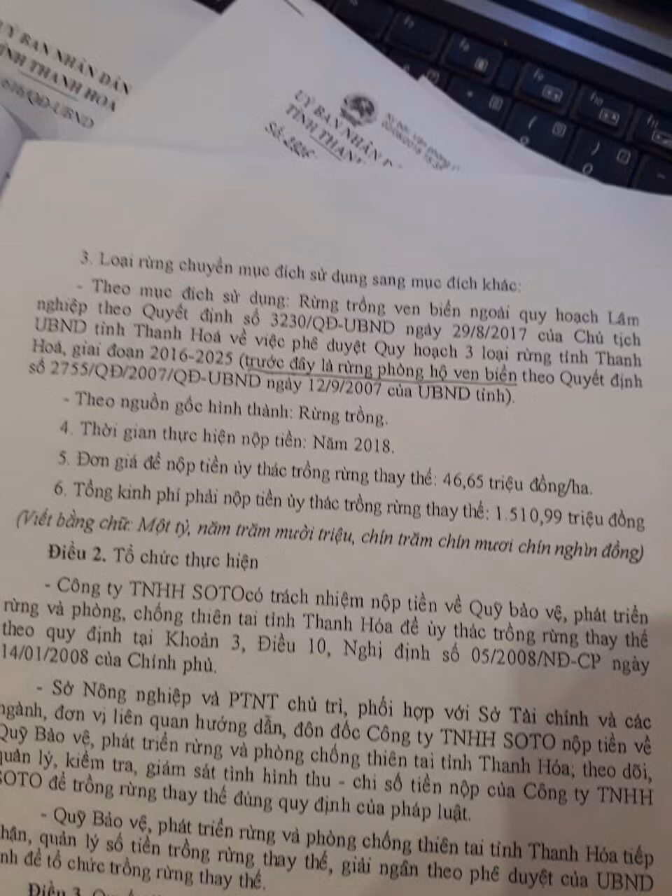 Thanh Hoa xoa rung phong ho de lam du an du lich: Lien tiep nhung van ban kho hieu-Hinh-3