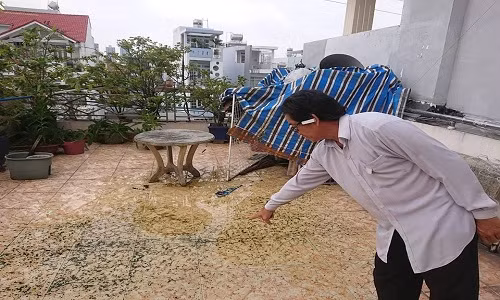 Hang xom thi cong au, mot gia dinh lanh du...khi mua ve