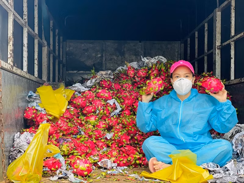 Đi từ thiện nhưng Việt Hương lại bị trù ẻo mắc COVID-19. Cô bức xúc cho hay: "Hiện nay, có một số người trù ẻo tôi và ê-kíp của tôi nhiễm bệnh. Tôi không biết vì sao, tôi chỉ đem gạo đi cứu trợ thôi mà họ chửi tôi rất nặng nề".