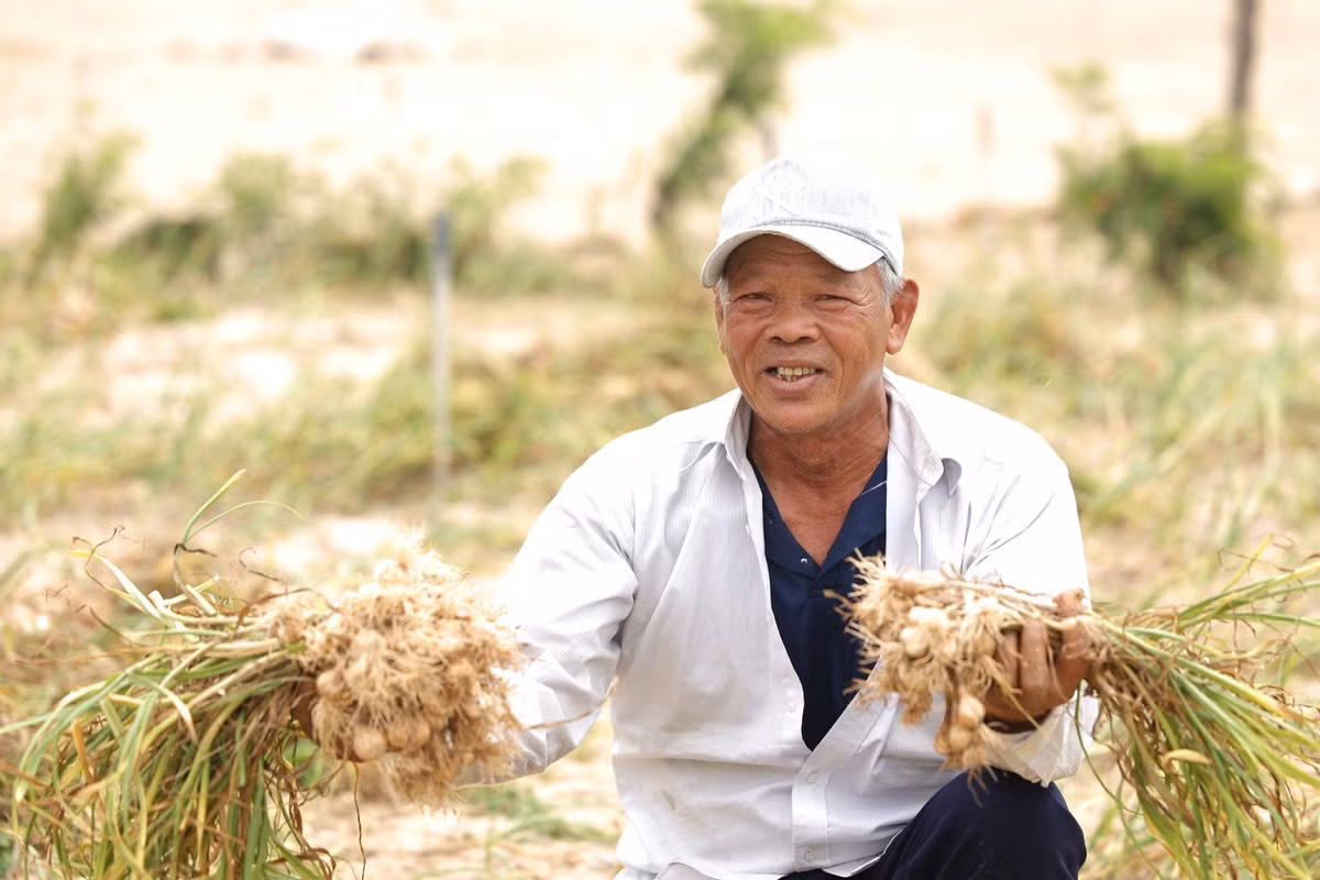 Dong hanh cung ba con nong dan, Nam Ngu quang ba dac san toi Ly Son