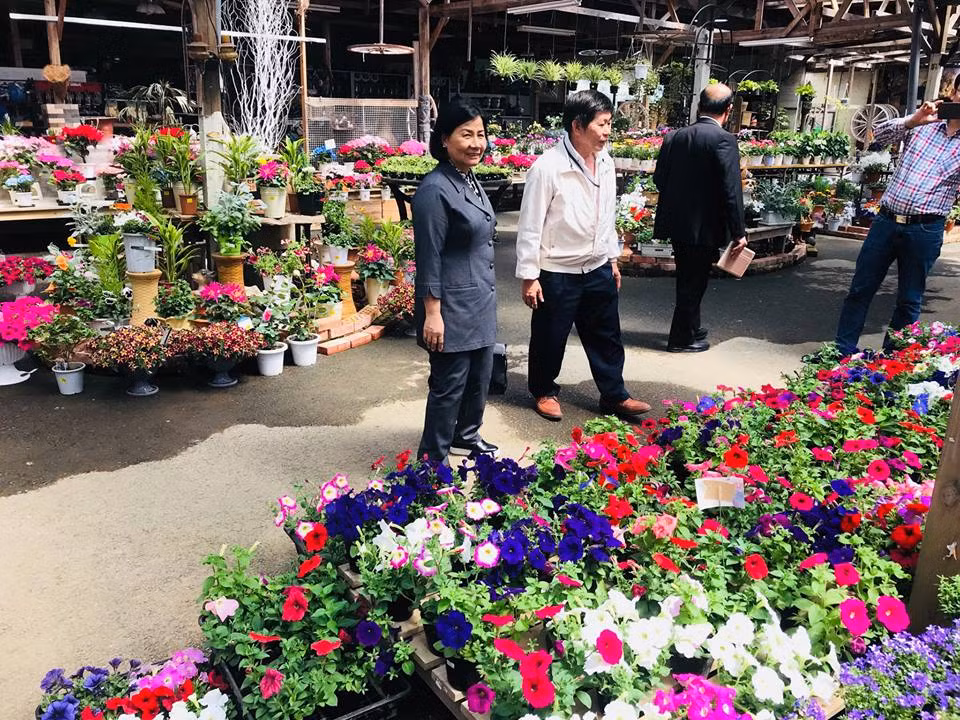 Ở vùng Kanto, tiệm hoa của ông Lâm nổi tiếng không chỉ bởi nhiều hoa đẹp mà bàn tay khéo léo của ông chủ. Tiệm của ông Lâm là địa chỉ gần như duy nhất ở quận ông sống nhận đơn hàng cắm hoa theo phong thuỷ.