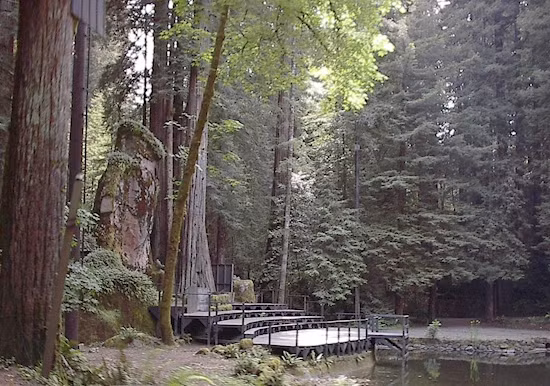 Bohemian Grove ở Monte Rio, California, Mỹ. Theo tin đồn, đây là khu vực bí ẩn, tụ tập những tinh hoa chính trị và những bậc kỳ tài trong mọi lĩnh vực ở Mỹ. Bất cứ ai lẻn vào trong khu vực này đều sẽ bị bắt và nghiêm trị. (Nguồn Emgn)