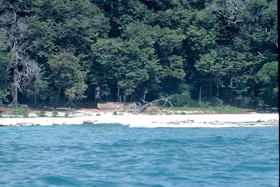 Đảo Sentinel Bắc, một trong hòn đảo thuộc quần đảo Andaman. Đây là một trong số ít những nơi trên Trái đất mà người dân hoàn toàn không liên lạc, kết nối với thế giới bên ngoài. Họ chào hỏi người lạ với một trận mưa tên tẩm độc. Nghiêm túc, bạn không bao giờ nên đi đến đó nếu không muốn chết. (Nguồn Emgn)