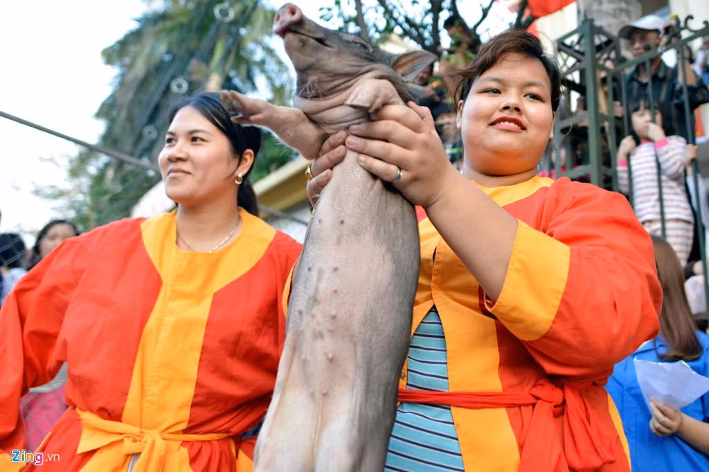 Đội nữ duy nhất tham gia phần thi bắt lợn tại hội làng Vạn Phúc cuối cùng cũng may mắn bắt được một chú lợn.