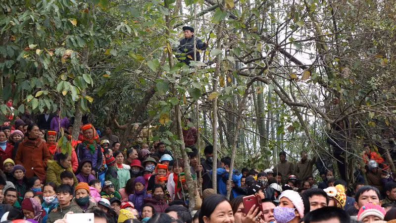 Thời điểm này các lễ hội 2017 đang diễn ra trên các địa phương khắp cả nước. Người đàn ông leo lên cây để xem rõ lễ tế ở lễ hội Ná Nhèm (xã Trấn Yên, huyện Bắc Sơn, tỉnh Lạng Sơn).