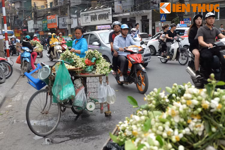 Những bông bưởi trắng muốt hái từ 5 giờ sáng, theo xe hàng chục cây số để vào Hà Nội.