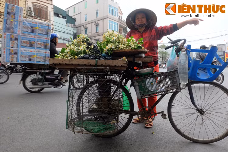 Hoa theo người và xe đi khắp phố phường Hà Nội.