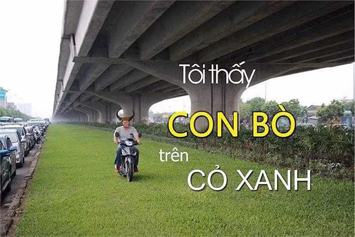 Ý thức tham gia giao thông kém chính là lý do khiến chàng trai này trở thành đối tượng bị dân mạng chế ảnh liên tục.