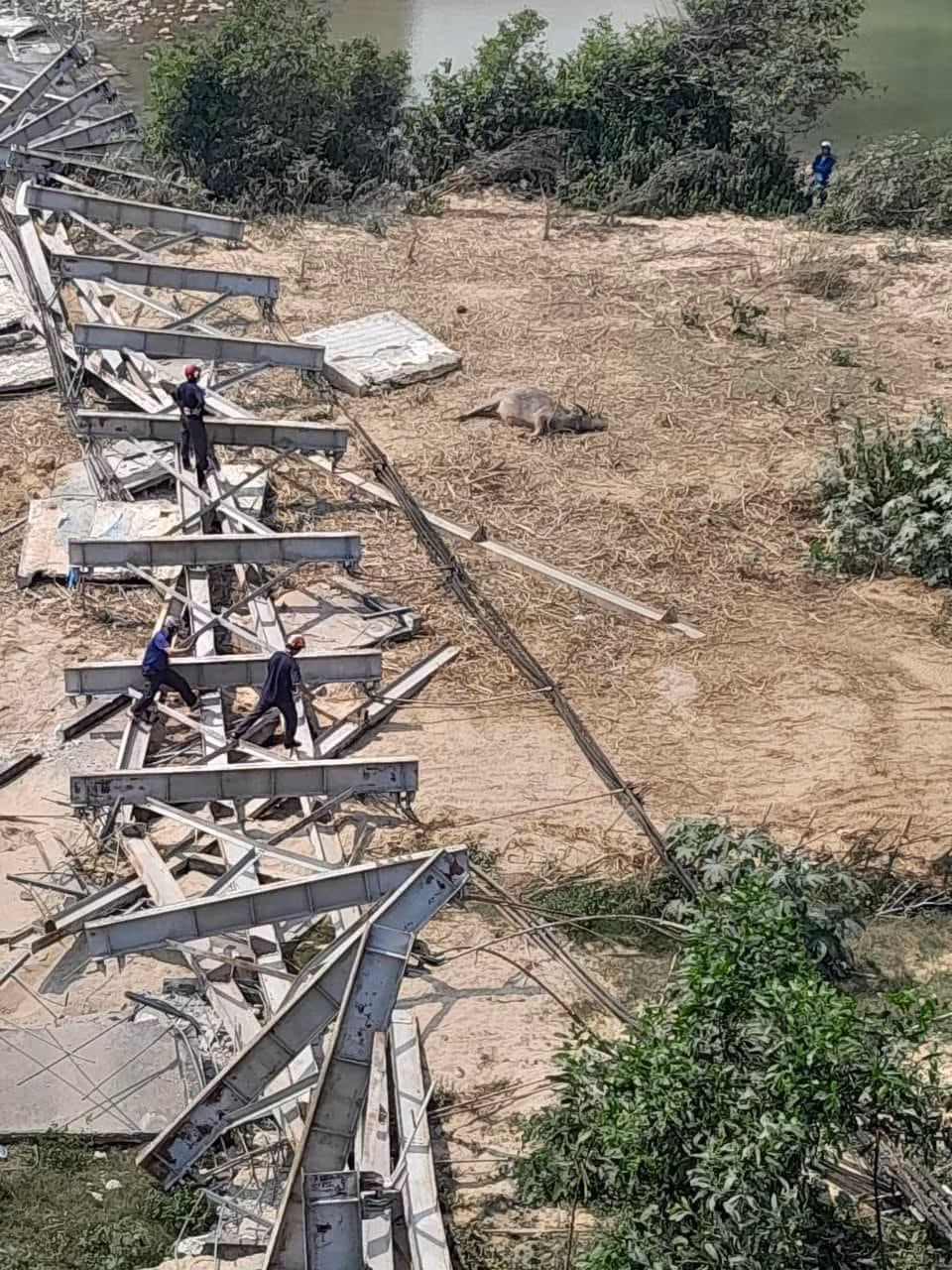 Cụ thể, vào khoảng 13h30’ ngày 6/3, cầu treo Kẻ Nính, xã Châu Hạnh, huyện Quỳ Châu (Nghệ An) bị đổ sập hoàn toàn. Dây văng, khung thép và các tấm bê tông nằm trên bãi bồi, một phần cấu kiện cầu nằm dưới lòng sông. Sau khi sự việc xảy ra, lực lượng chức năng đã tiếp cận hiện trường để điều tra nguyên nhân vụ việc.