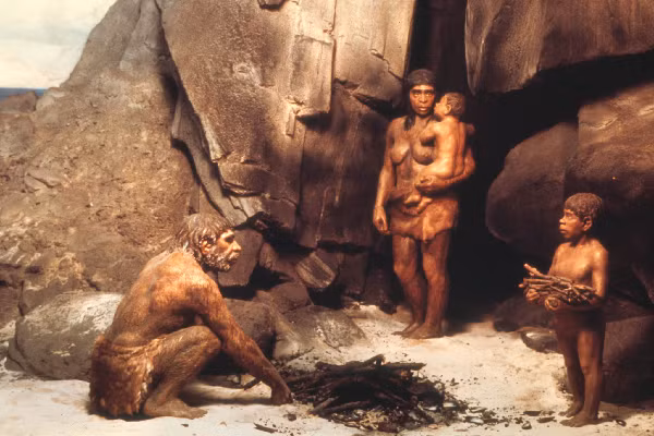Sau khi người Neanderthals rời đi, khu rừng đã phục hồi, lại dày đặc cây bạch dương. Điều này cho thấy nhiều thế hệ Neanderthals đã kiên trì với việc khai hoang, cải tạo tự nhiên để có nơi sinh sống phù hợp.