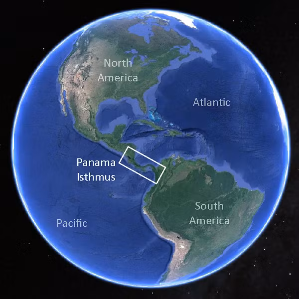 Phía Tây Panama và phía sau vòng cung núi lửa ở Costarica là nơi đầy vật liệu lớp phủ kỳ lạ, mà lại mang thành phần của lớp phủ tận dưới Galápagos chứ không phải vùng lớp phủ ngay bên dưới Panama.