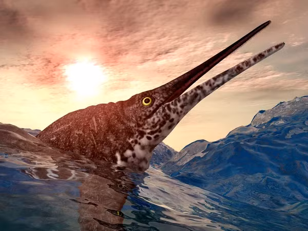 Ichthyosaurs có sự phân bố địa lý rất rộng, và các di tích hóa thạch của chúng trải dài gần như toàn bộ Kỷ nguyên Mesozoi (251 triệu đến 65,5 triệu năm trước), nhưng chúng phong phú và đa dạng nhất trong kỷ Trias và kỷ Jura (251 triệu đến 145,5 triệu năm trước).
