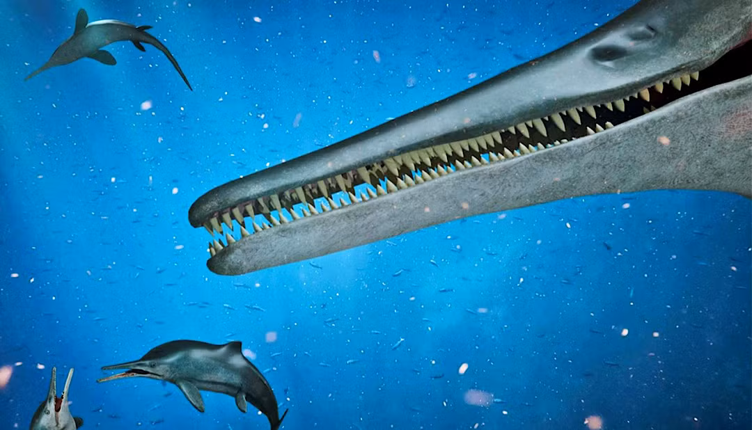 Ichthyosaurs tồn tại đến kỷ Phấn trắng muộn và có thể đã thích nghi tốt để lặn sâu cũng như săn mồi gần bờ, nhưng tất cả các loài đều tuyệt chủng trước khi kết thúc kỷ Phấn trắng.