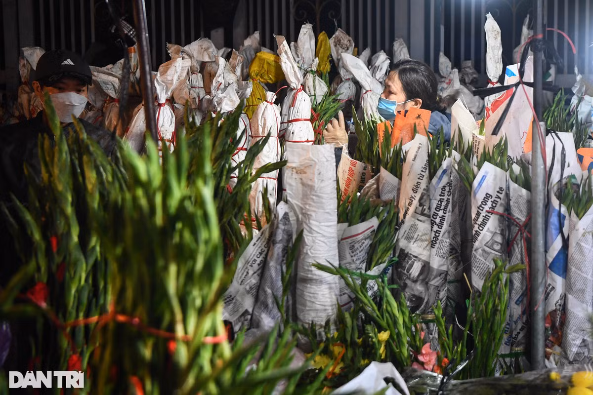 Những ki-ốt ngập tràn hoa lay-ơn trong khu chợ Quảng An, loài hoa được yêu thích và cắm chơi nhiều nhất trong các gia đình Việt mỗi dịp Tết.