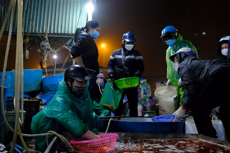 Cảnh mua bán tấp nập ở chợ cá Yên Sở.