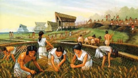 Tại khu định cư mới khai quật, các chuyên gia đã tìm thấy tàn tích của nhiều tòa nhà, con hẻm, đường xá, khu chôn cất, kho chứa thực phẩm... Ảnh: Archaeology Wiki.