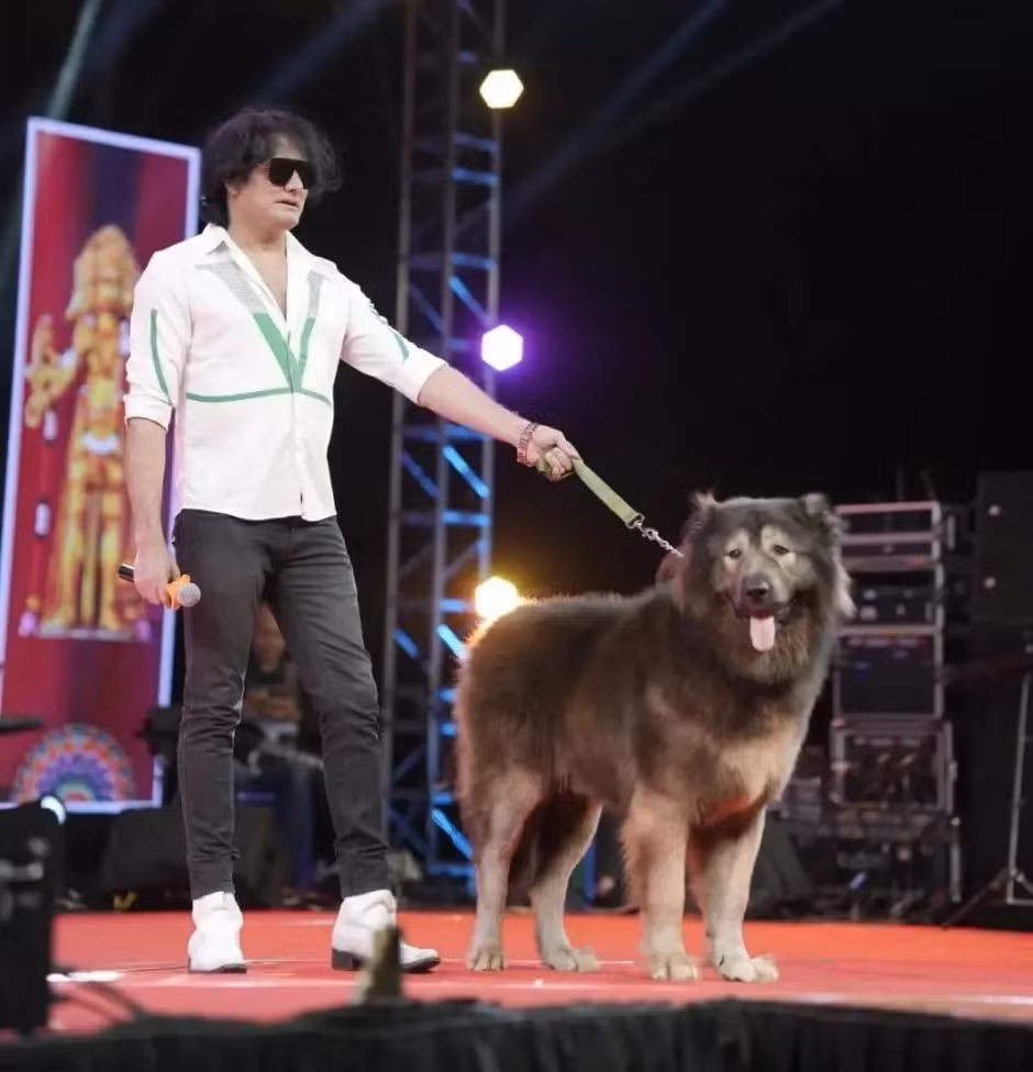 Con chó Okami nhanh chóng trở thành chủ đề bàn tán của thị trấn Karnataka. Ông Sathis đem chú chó quý hiếm đến thị trấn để tham gia vài sự kiện. Nhiều khán giả sẵn sàng chi số tiền lớn chỉ để nhìn thấy con chó quý hiếm này. Ảnh: YouTube @ Tv9 Kannada.