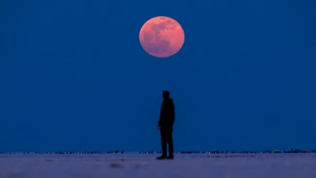 Ước tính hơn 1 tỉ người ở Mỹ, Canada và các nơi còn lại ở Bắc và Nam Mỹ sẽ có vị trí lý tưởng nhất để quan sát hiện tượng trăng máu trong hơn 1 tiếng với điều kiện thời tiết thuận lợi. Trăng máu ở Bherandiala, Ấn Độ. Ảnh: Dhruv Gajjar / EyeEm via Getty Images.