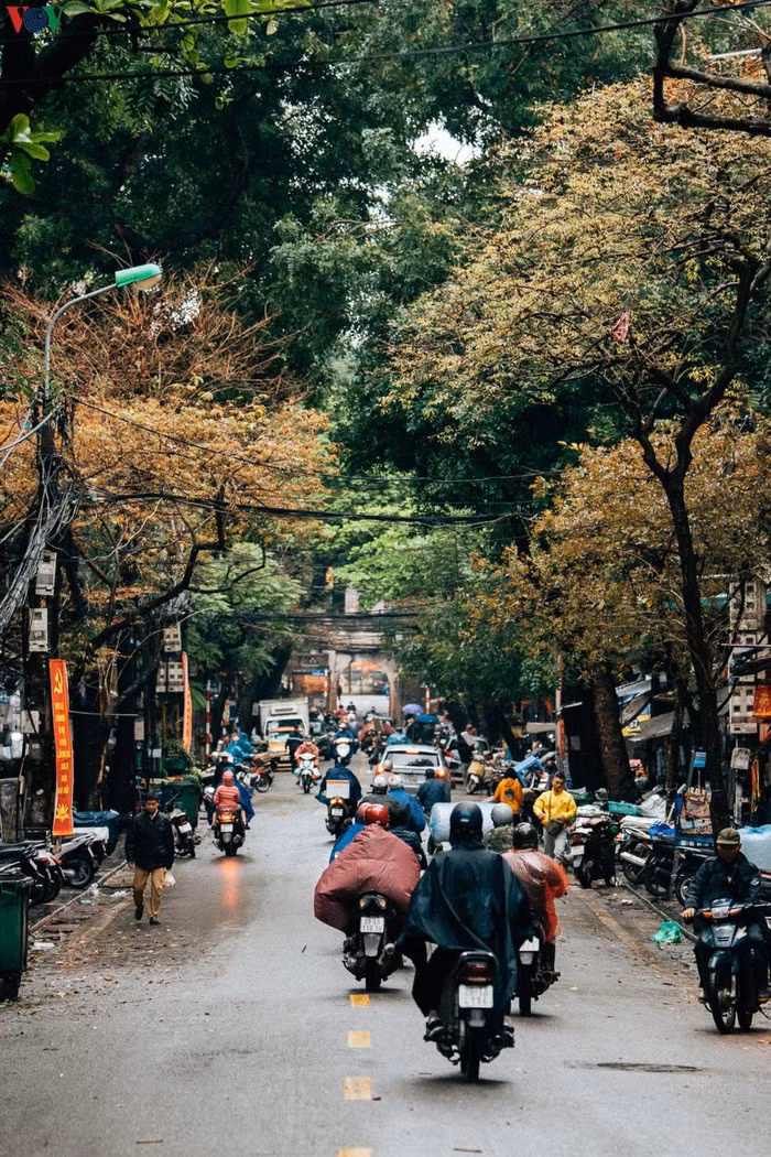 Theo tính toán, thành phố có thể sẽ tiếp nhận khoảng 10.000 người về nước trong những ngày tới, ông Chung cho biết Hà Nội quyết định tổ chức cách ly tập trung để phòng ngừa.