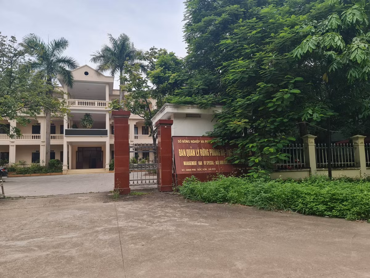 Soc Son: Loat villas, homestay pha rung phong ho... Co quan dia phuong tu choi lam viec?-Hinh-4